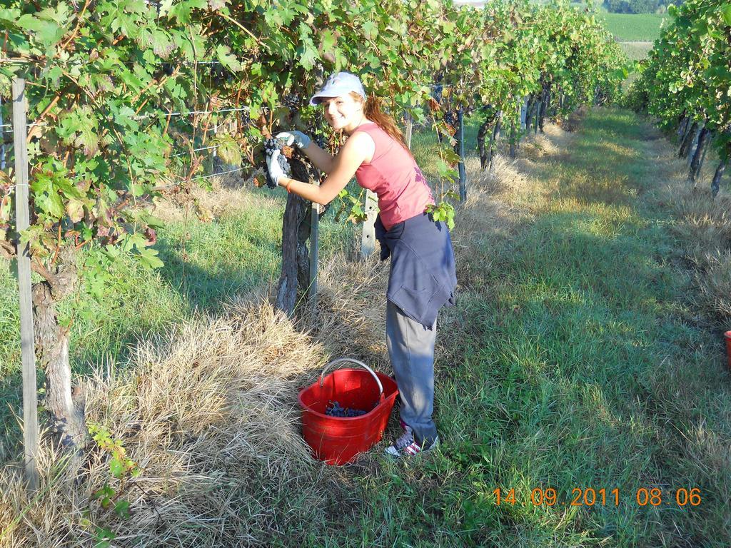 הוילה San Marzano Oliveto Agriturismo Le Due Cascine מראה חיצוני תמונה